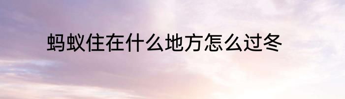 蚂蚁住在什么地方怎么过冬