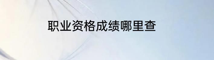 职业资格成绩哪里查