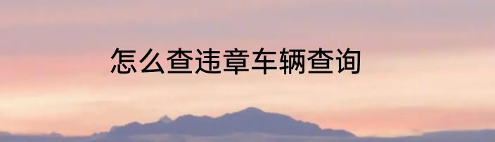 怎么查违章车辆查询