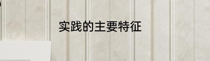 实践的主要特征