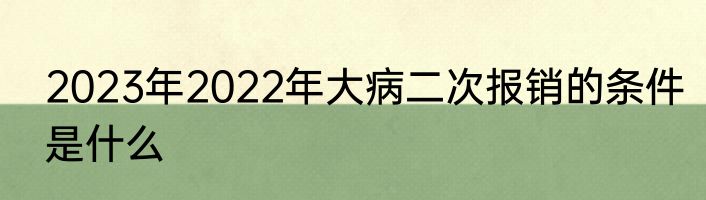 2023年2022年大病二次报销的条件是什么