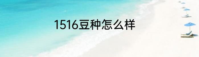 1516豆种怎么样