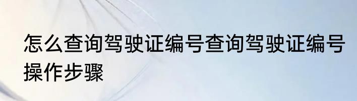 怎么查询驾驶证编号查询驾驶证编号操作步骤