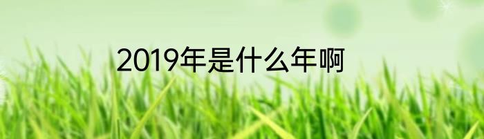 2019年是什么年啊