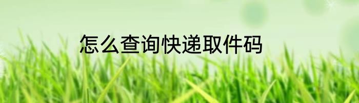 怎么查询快递取件码