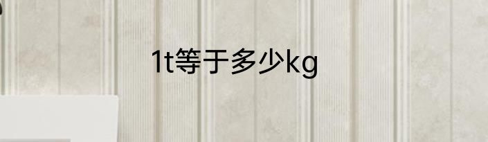 1t等于多少kg