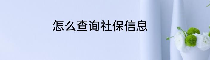 怎么查询社保信息