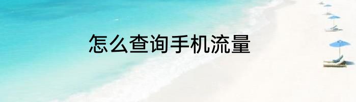 怎么查询手机流量