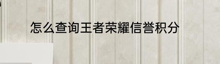 怎么查询王者荣耀信誉积分