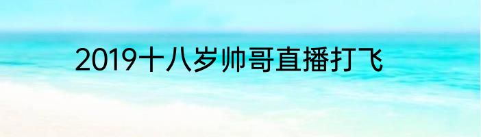 2019十八岁帅哥直播打飞