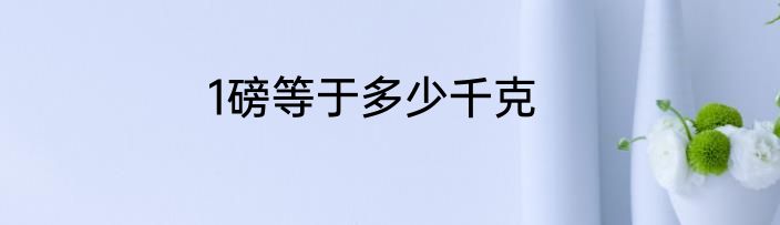 1磅等于多少千克