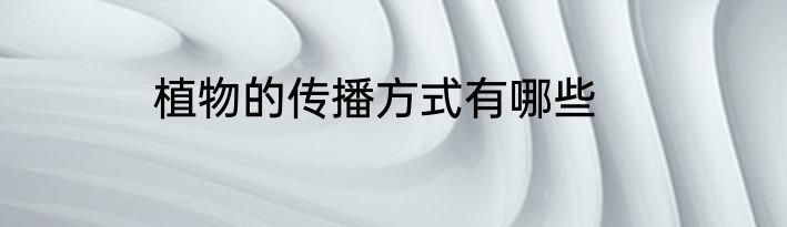 植物的传播方式有哪些
