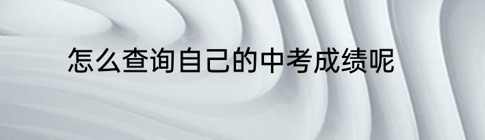 怎么查询自己的中考成绩呢