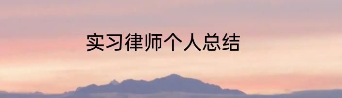 实习律师个人总结