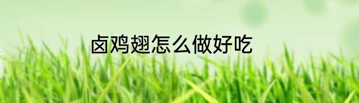 卤鸡翅怎么做好吃