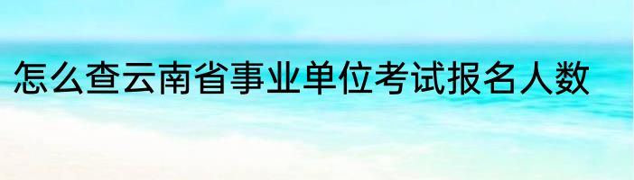 怎么查云南省事业单位考试报名人数