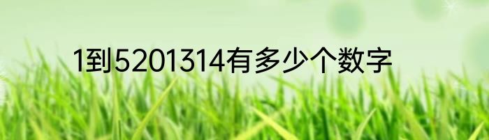 1到5201314有多少个数字