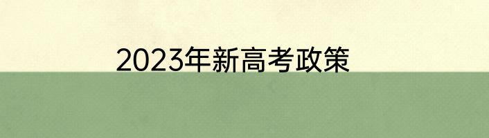 2023年新高考政策