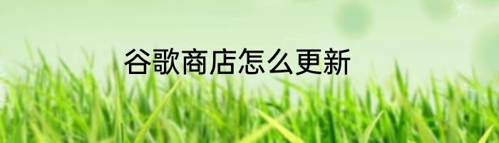 谷歌商店怎么更新