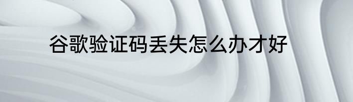 谷歌验证码丢失怎么办才好