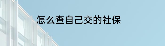 怎么查自己交的社保