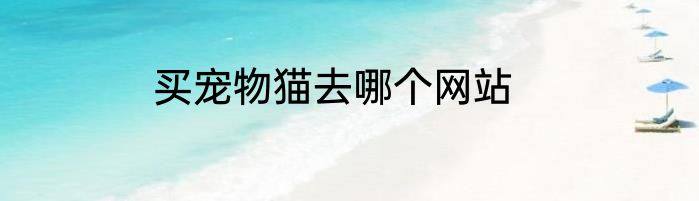 买宠物猫去哪个网站