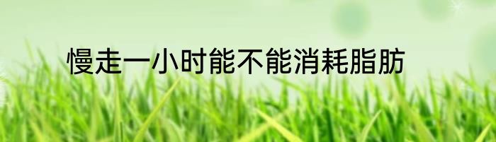 慢走一小时能不能消耗脂肪