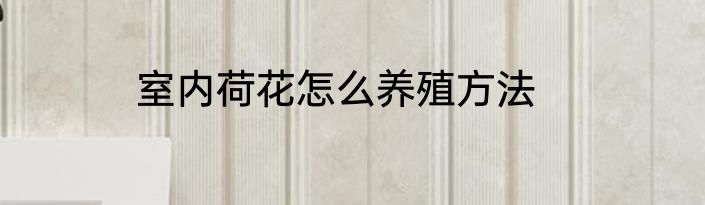 室内荷花怎么养殖方法