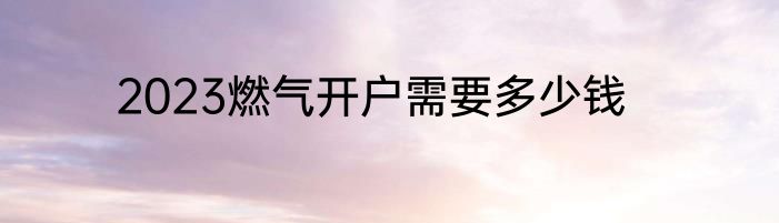 2023燃气开户需要多少钱