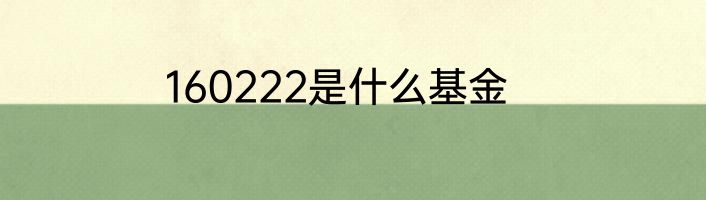 160222是什么基金