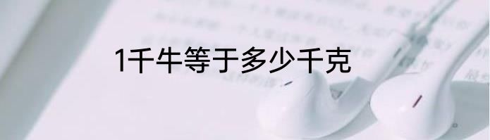 1千牛等于多少千克