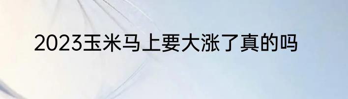 2023玉米马上要大涨了真的吗