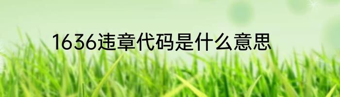 1636违章代码是什么意思