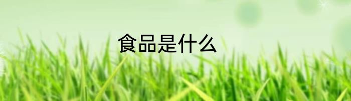 食品是什么