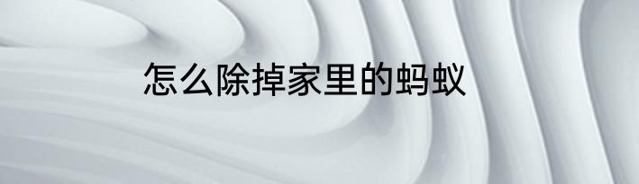 怎么除掉家里的蚂蚁