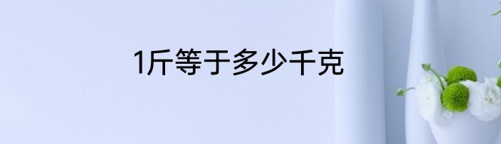 1斤等于多少千克