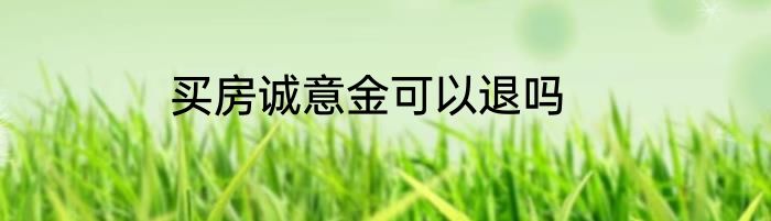 买房诚意金可以退吗