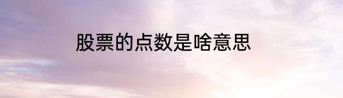 股票的点数是啥意思