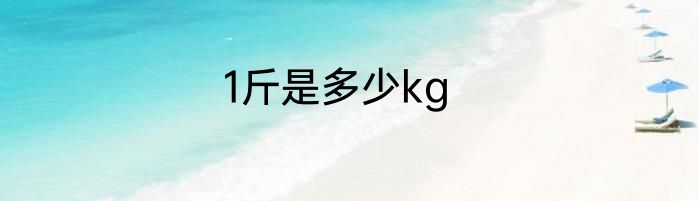 1斤是多少kg