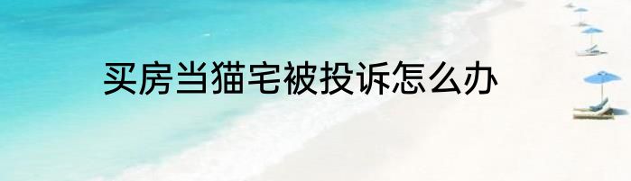 买房当猫宅被投诉怎么办