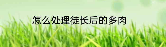 怎么处理徒长后的多肉