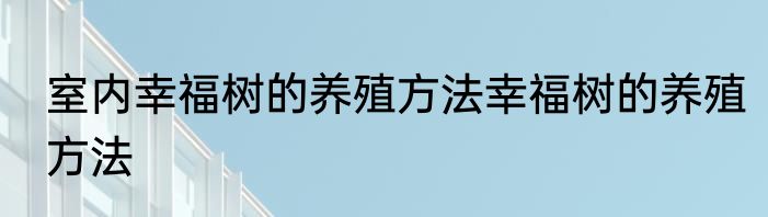室内幸福树的养殖方法幸福树的养殖方法