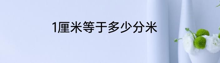 1厘米等于多少分米