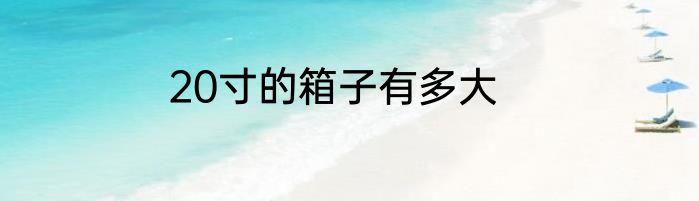 20寸的箱子有多大