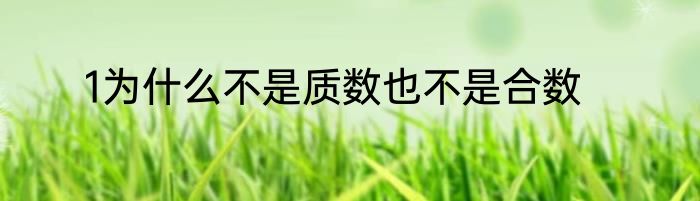1为什么不是质数也不是合数