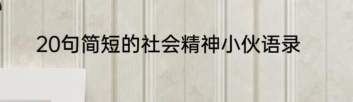 20句简短的社会精神小伙语录