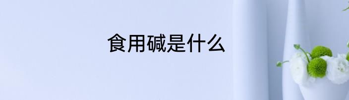 食用碱是什么