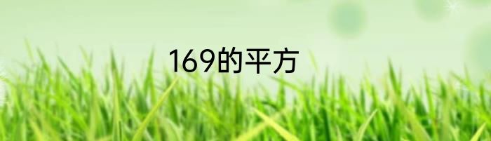 169的平方