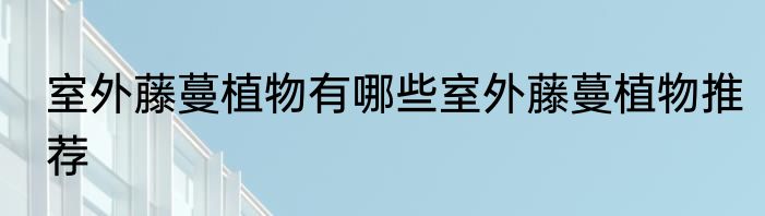 室外藤蔓植物有哪些室外藤蔓植物推荐