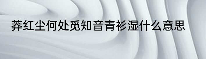 莽红尘何处觅知音青衫湿什么意思